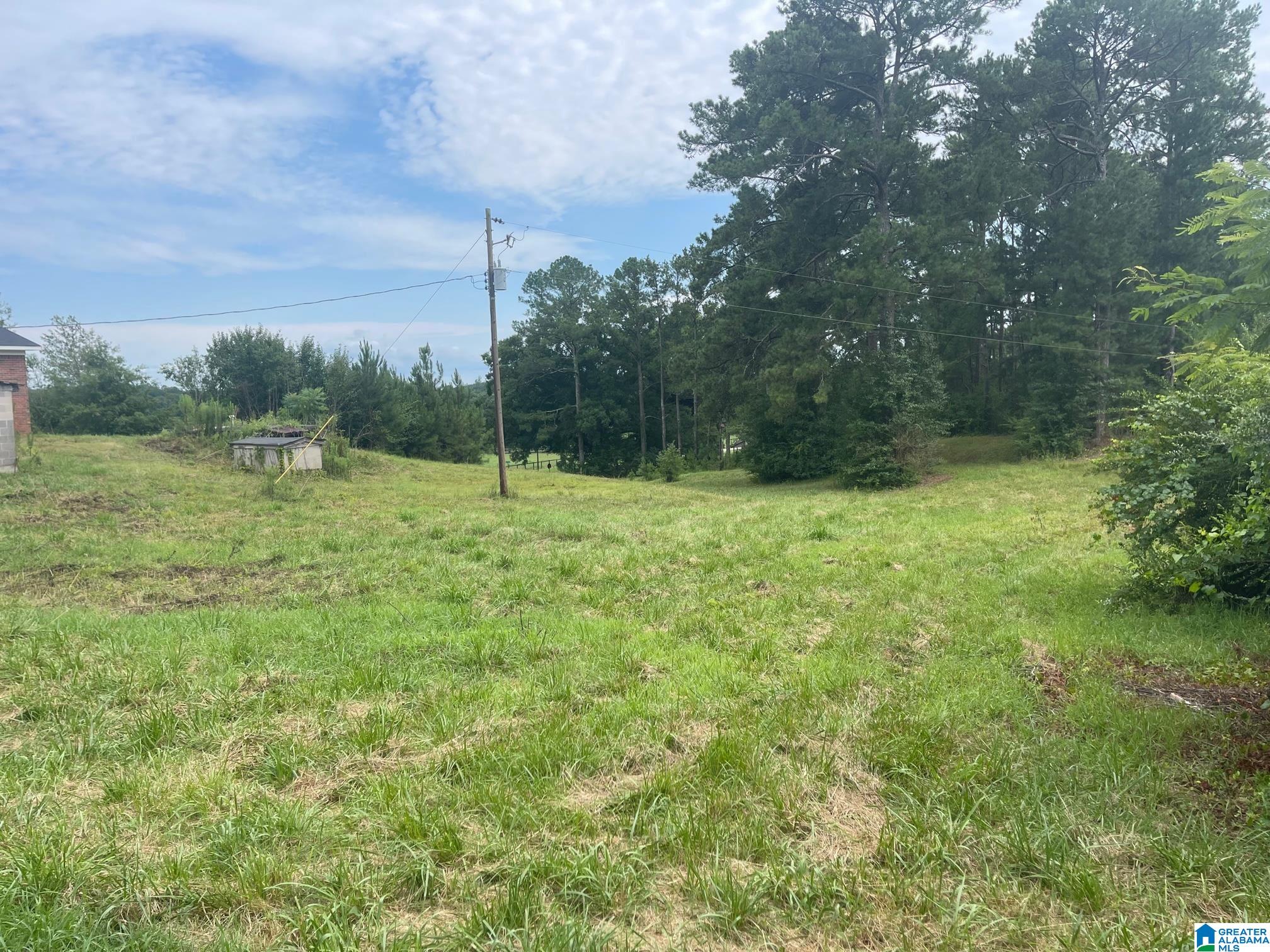 190 Silver Loop Road Columbiana, AL 35051 - Photo 18 of 21