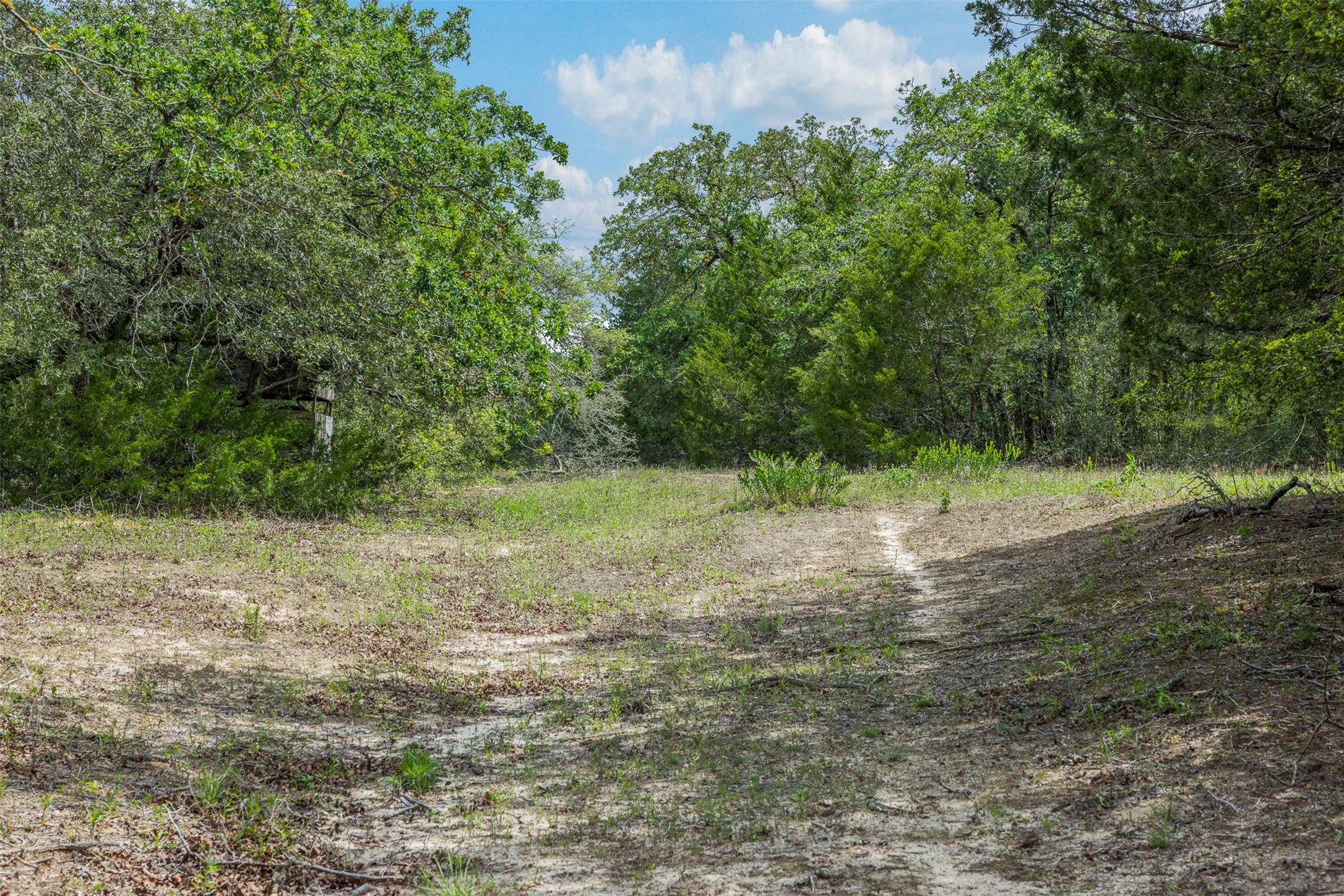 622 Red Rock Ranch Road Red Rock, TX 78662 - Photo 29 of 46 a view of outdoor space with trees all around