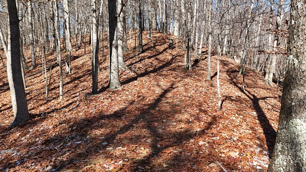 Tbd Nebo Mountain Road, Unit MULTIPLE Marion, VA 24354 - Photo 8 of 9 Gallery Image 8