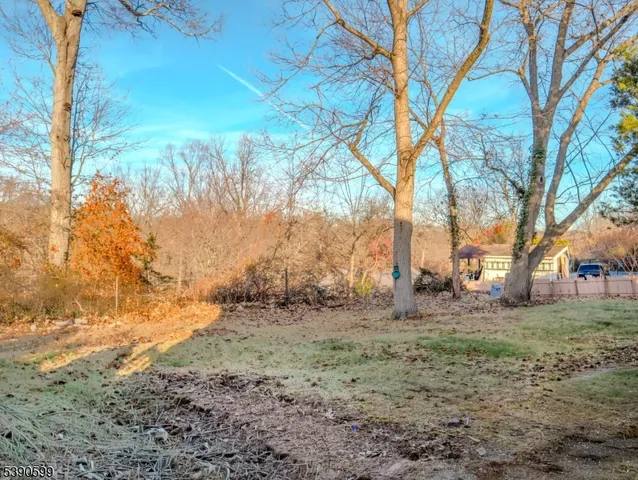 a view of dirt yard with a tree