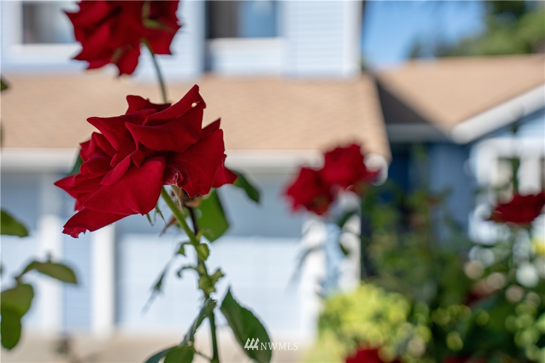 233 238th Street Southwest Bothell, WA 98021 - Photo 2 of 40