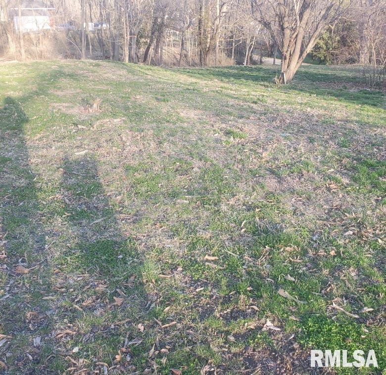 410 South Polk Street Athens, IL 62613 - Photo 1 of 1 Gallery Image 1