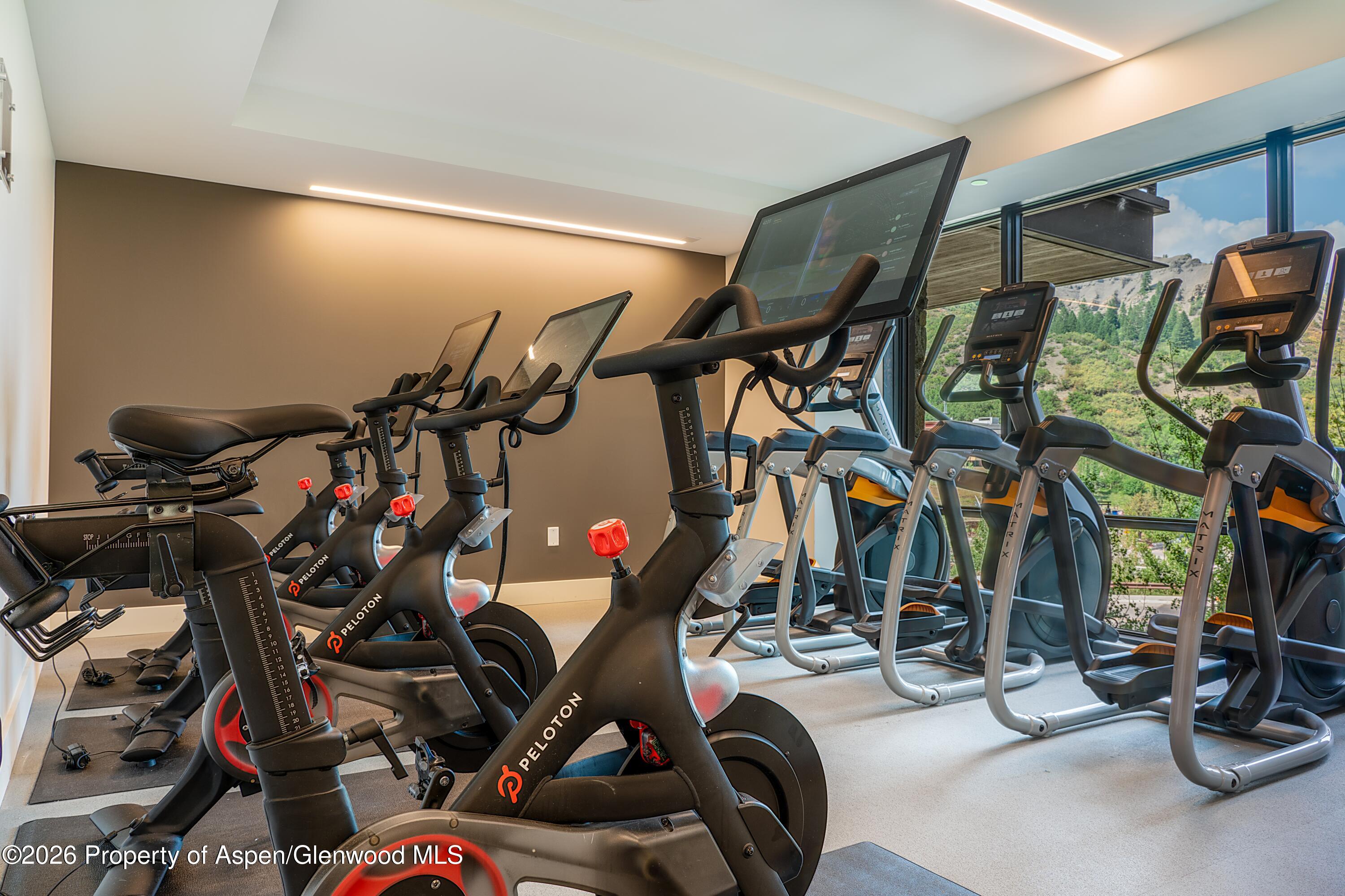 77 Wood Road, Unit 50711 Snowmass Village, CO 81615 - Photo 16 of 20 a view of a room with gym equipment