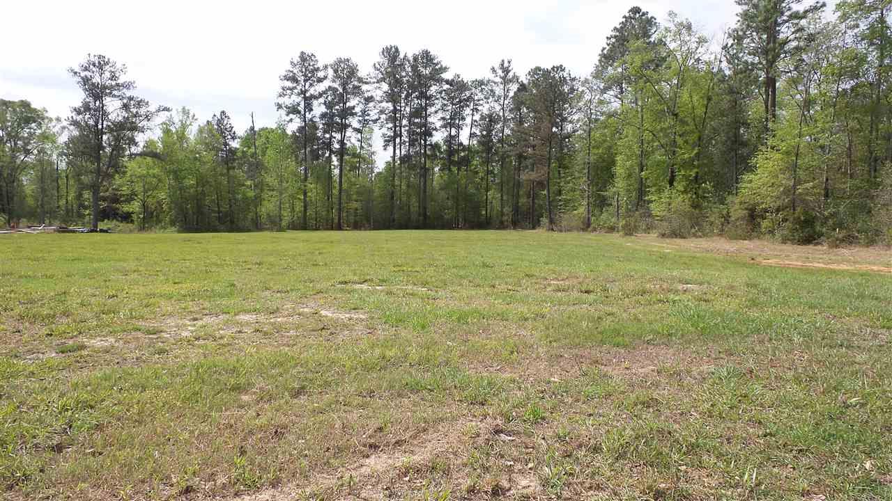 0 Fairford Road McIntosh, AL 36553 - Photo 1 of 12