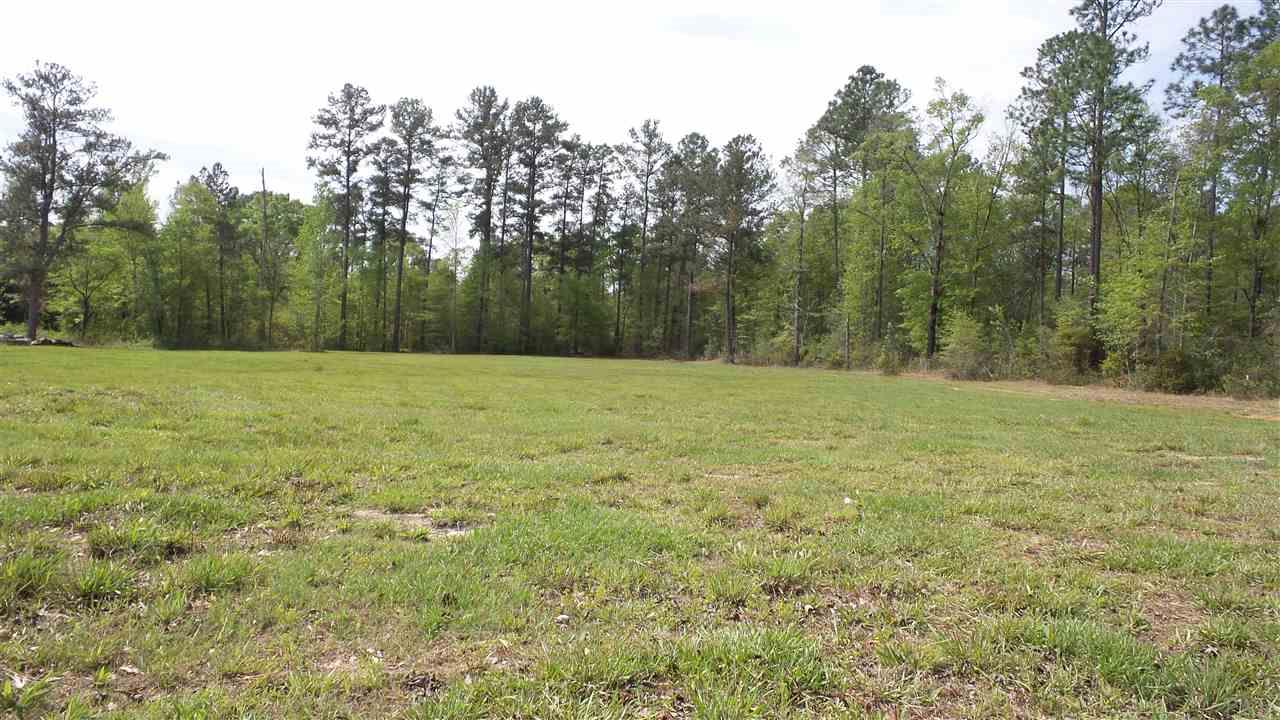 0 Fairford Road McIntosh, AL 36553 - Photo 3 of 12
