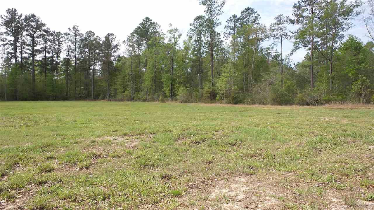 0 Fairford Road McIntosh, AL 36553 - Photo 4 of 12