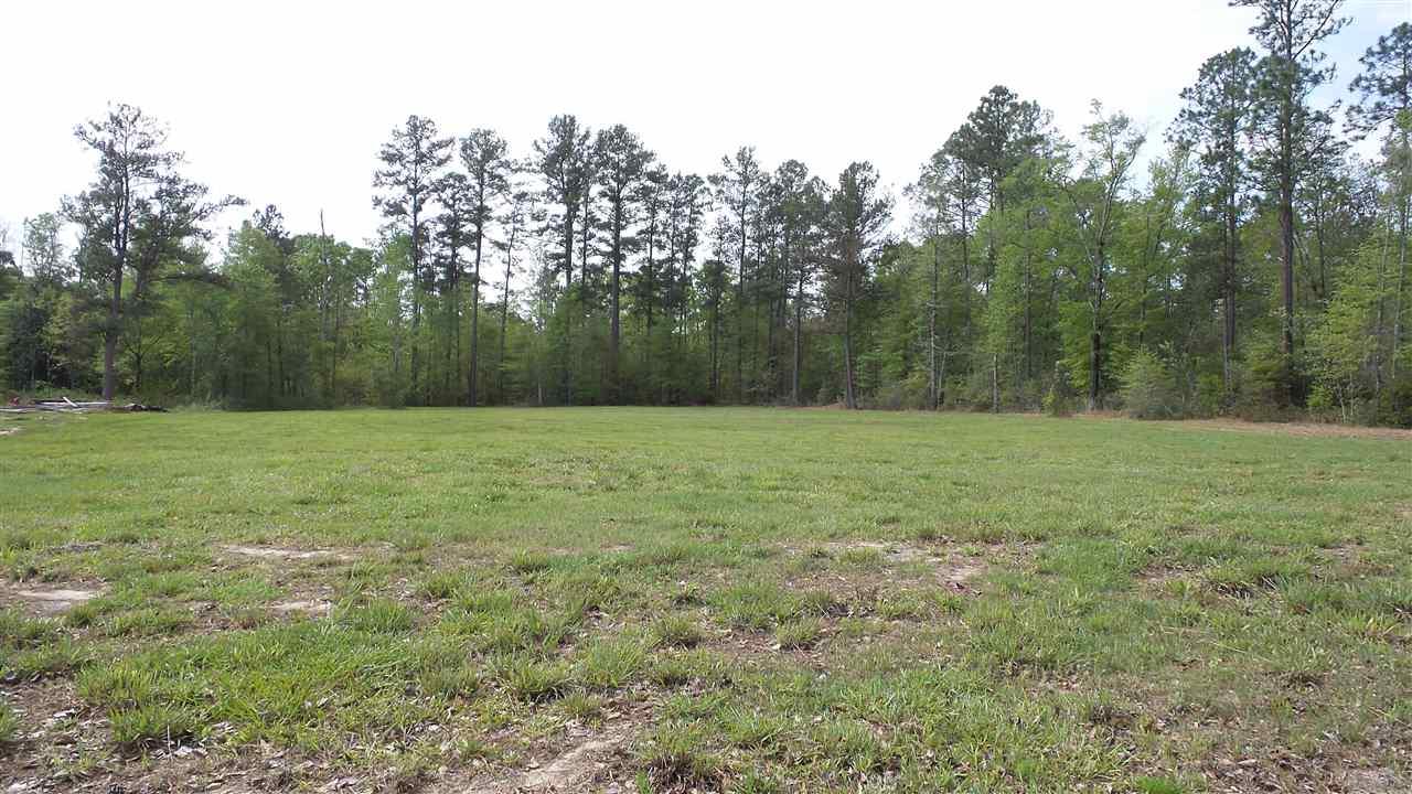 0 Fairford Road McIntosh, AL 36553 - Photo 5 of 12