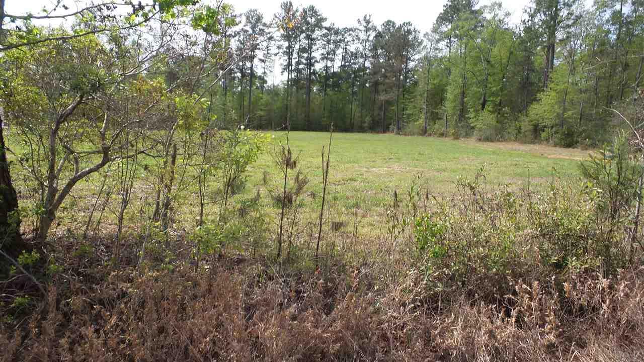 0 Fairford Road McIntosh, AL 36553 - Photo 6 of 12