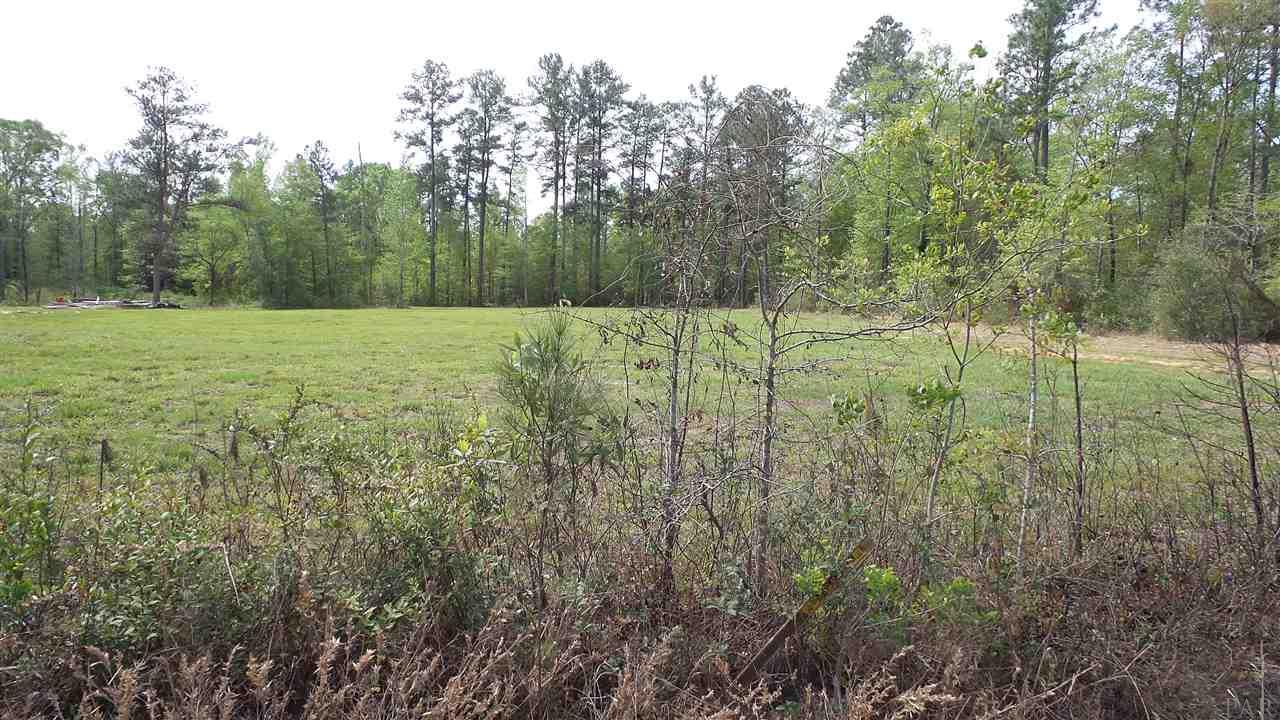 0 Fairford Road McIntosh, AL 36553 - Photo 7 of 12