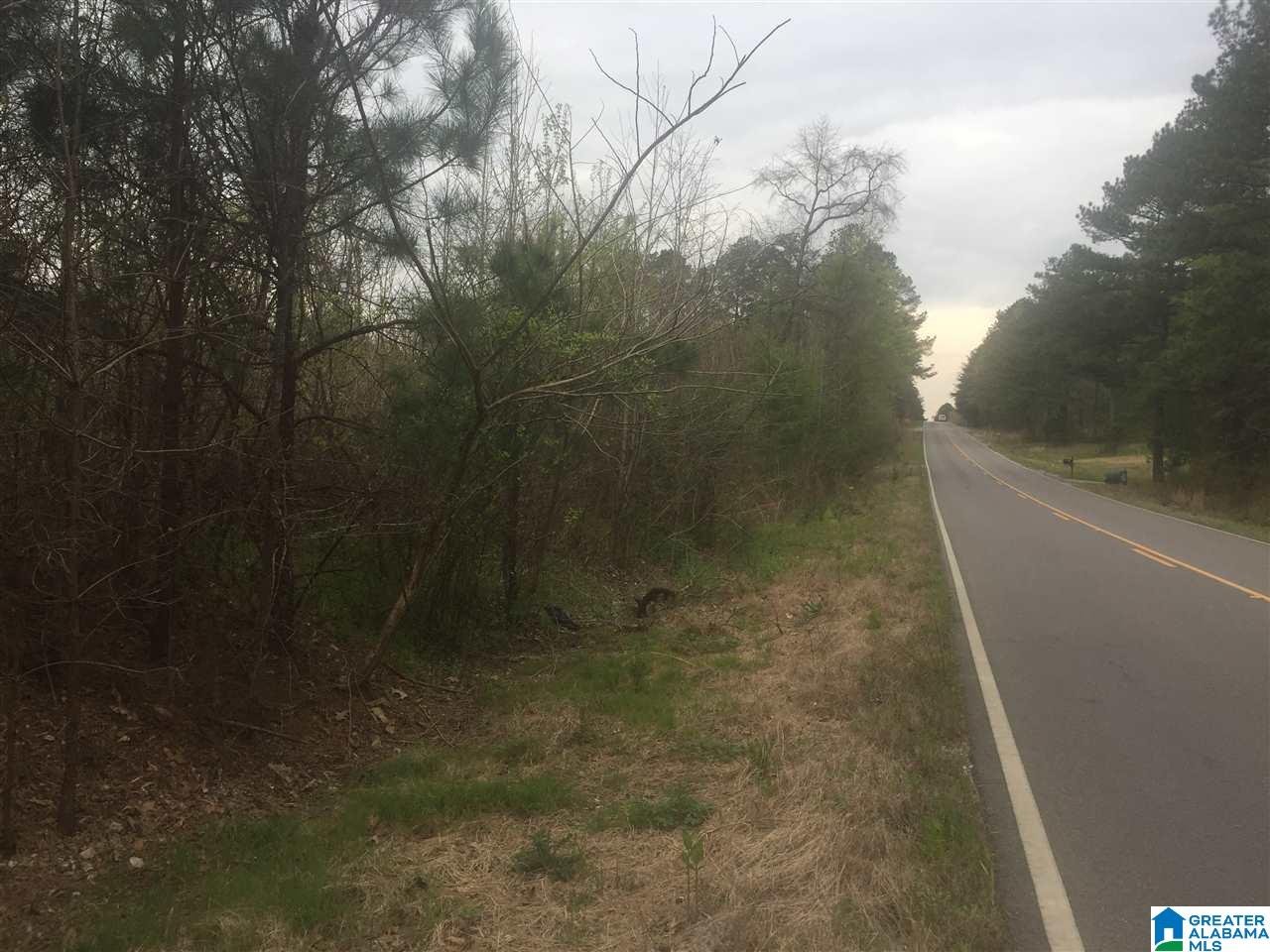 12 Highway Of Bishop Ridge Road, Unit CORNER West Blocton, AL 35184 - Photo 2 of 6