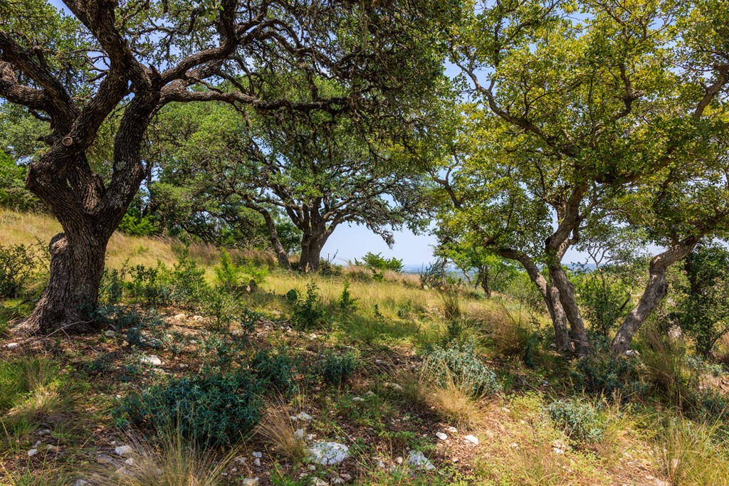 0 Paradise Ranch Road, Unit 12A Fredericksburg, TX 78624 - Photo 35 of 51