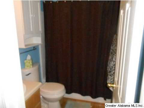 141 Ray Drive Locust Fork, AL 35097 - Photo 4 of 16