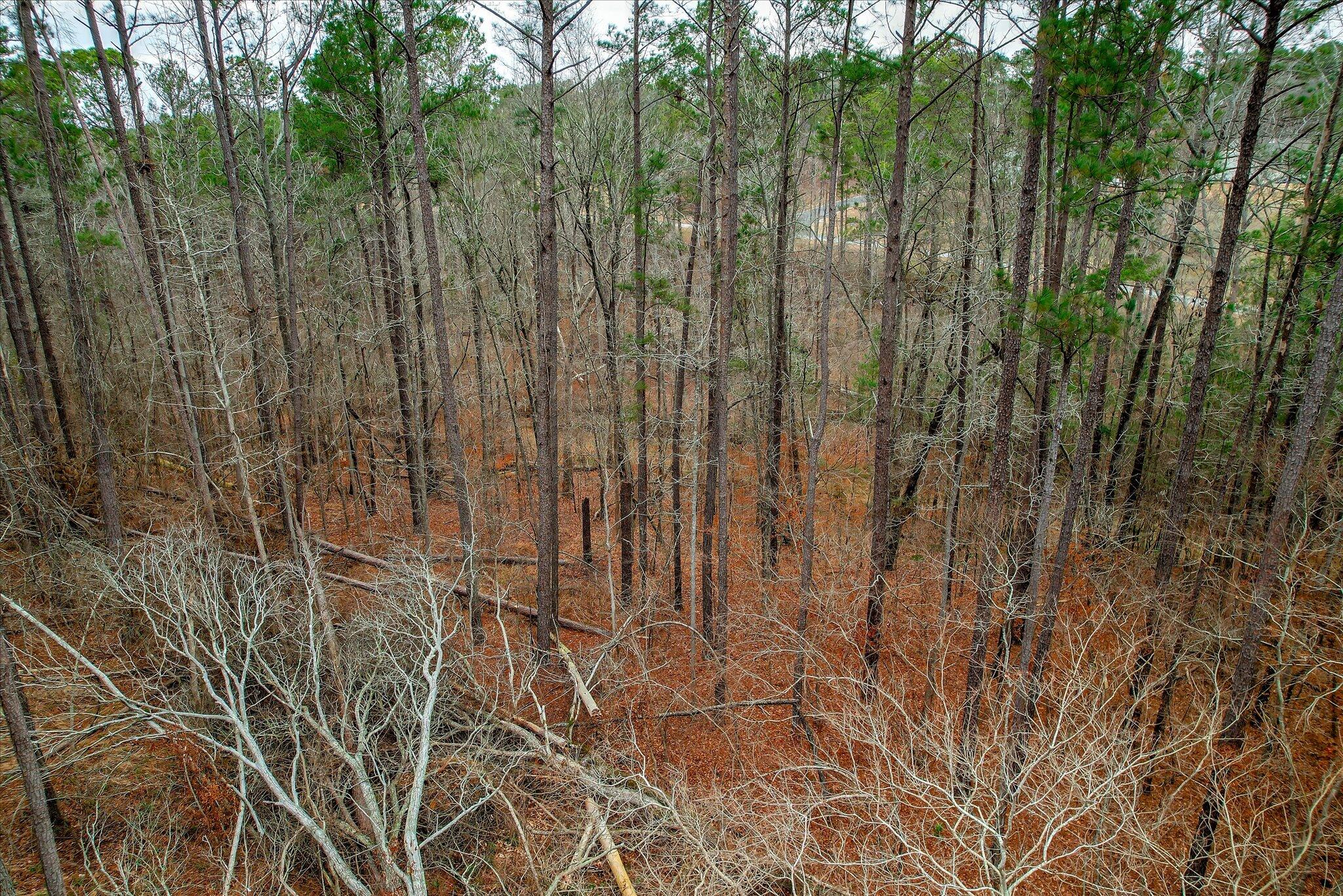 Lot K-18 Lot K-18 Collin Reeds Road Edgefield, SC 29824 - Photo 14 of 24