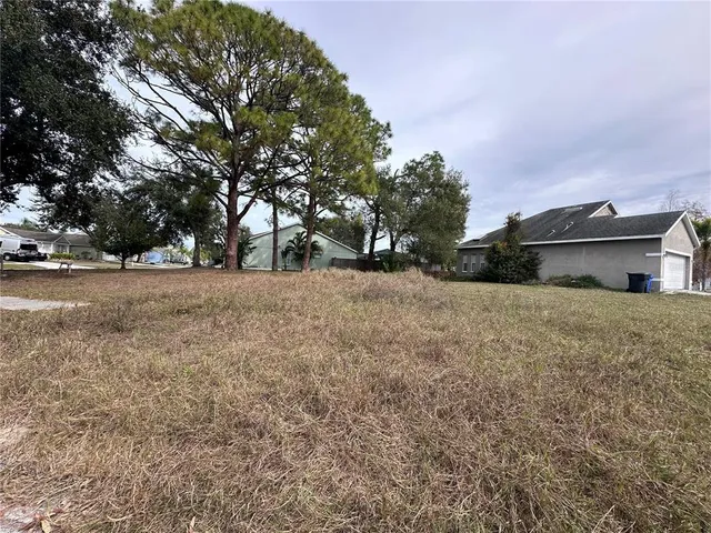a view of backyard with green space