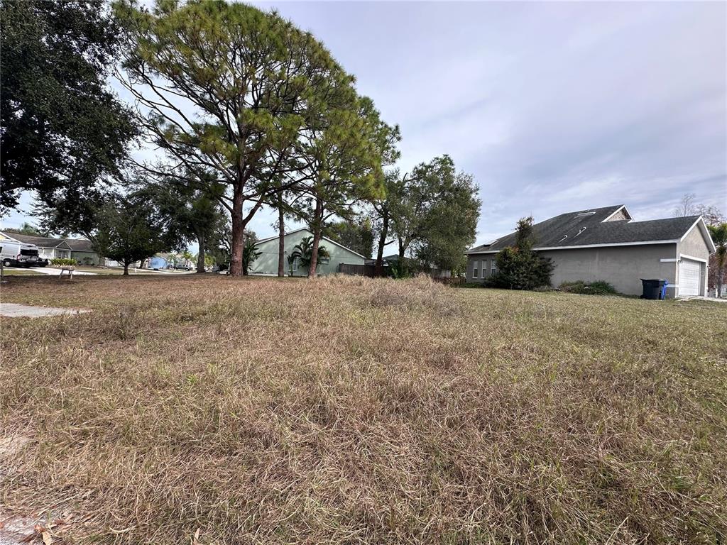 236 Lookout Drive Apollo Beach, FL 33572 - Photo 2 of 4 a view of a yard with a house