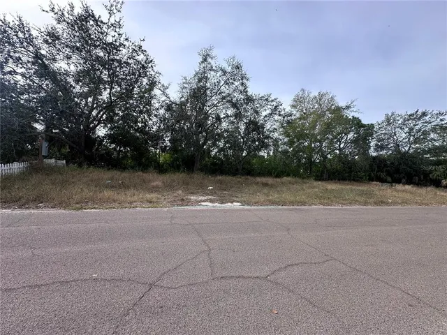 a view of outdoor space with trees
