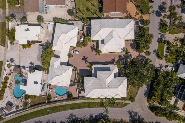 a view of a large tree with a big yard