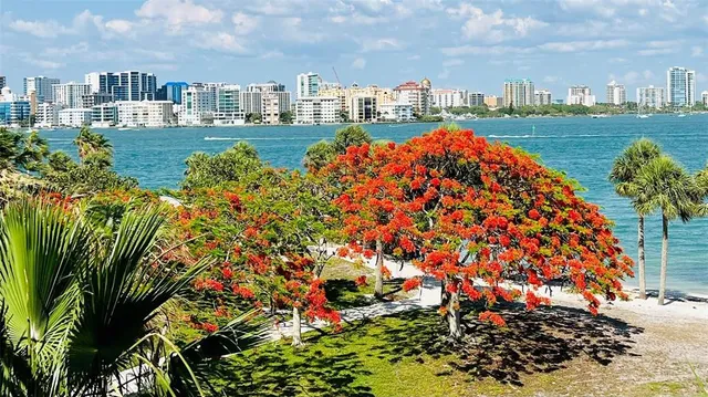 $6,000 | 357 Tierra Mar Lane, Unit 5, Sarasota, FL 34242