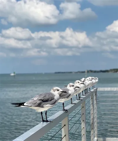 $6,000 | 357 Tierra Mar Lane, Unit 5, Sarasota, FL 34242