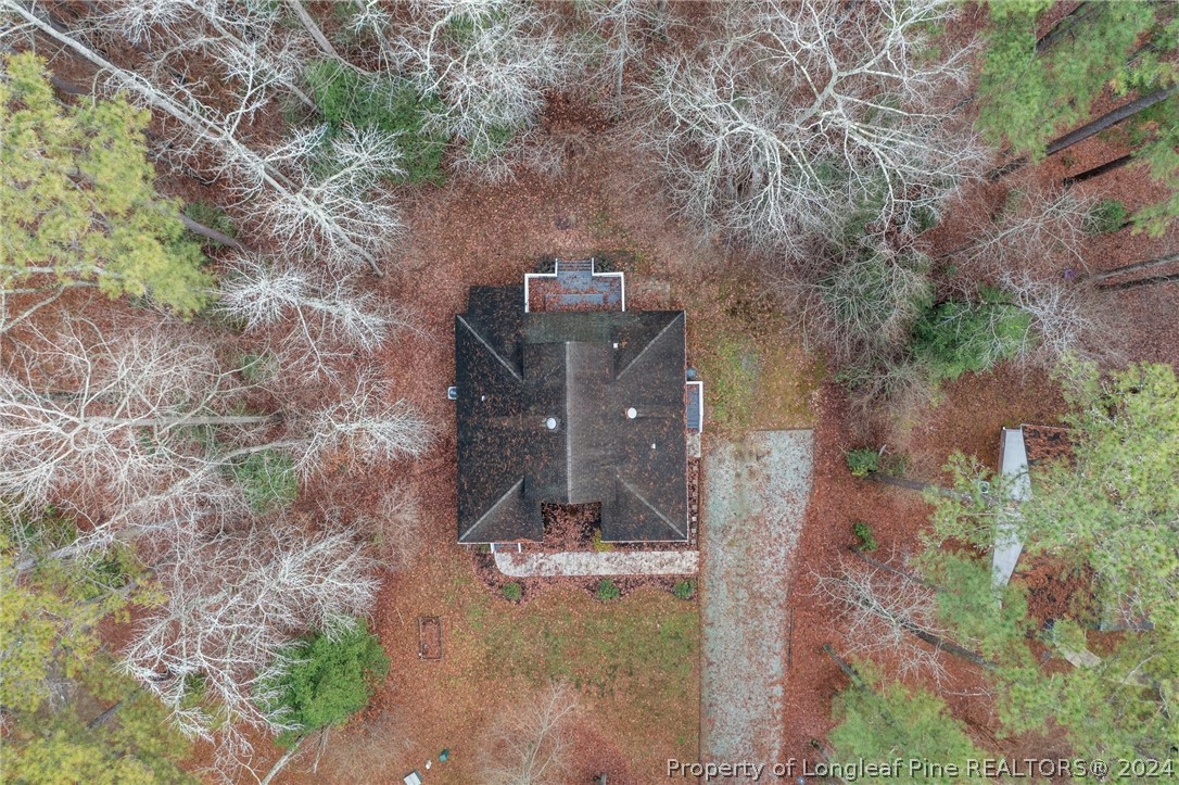 7039 Pine Road Sanford, NC 27332 - Photo 4 of 35 a view of a yard