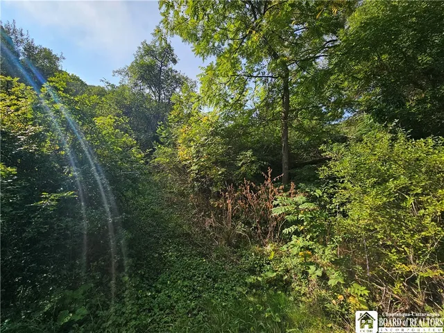 $30,000 | 557 Indiana Avenue, Olean, NY 14760