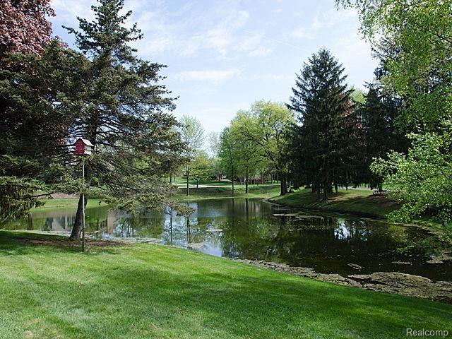 6435 Apple Orchard Lane Rochester Hills, MI 48306 - Photo 33 of 77