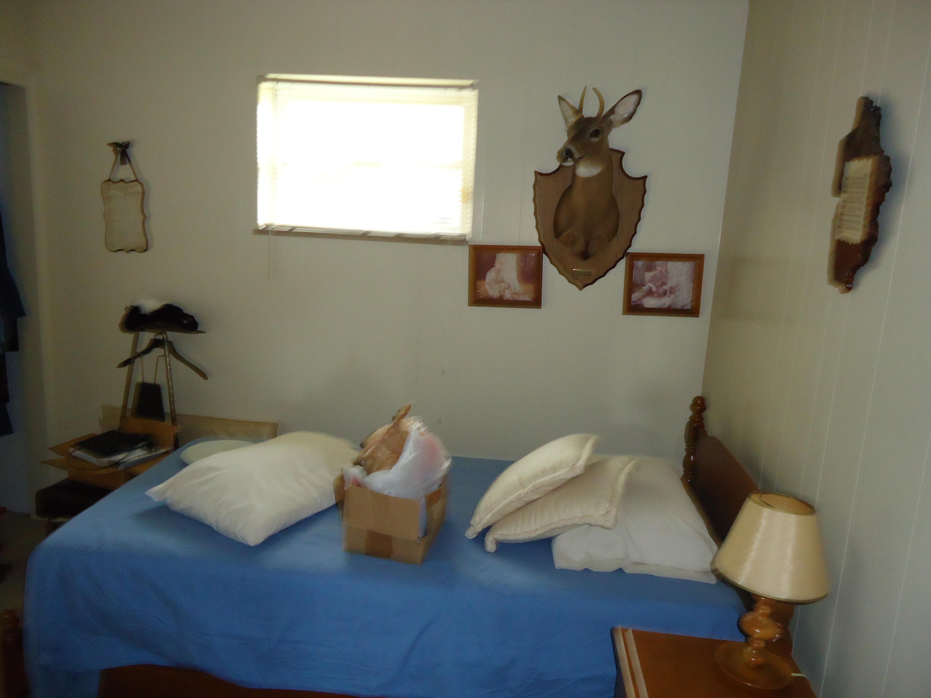 4015 Corinth Church Road Loudon, TN 37774 - Photo 17 of 40 DSC06594