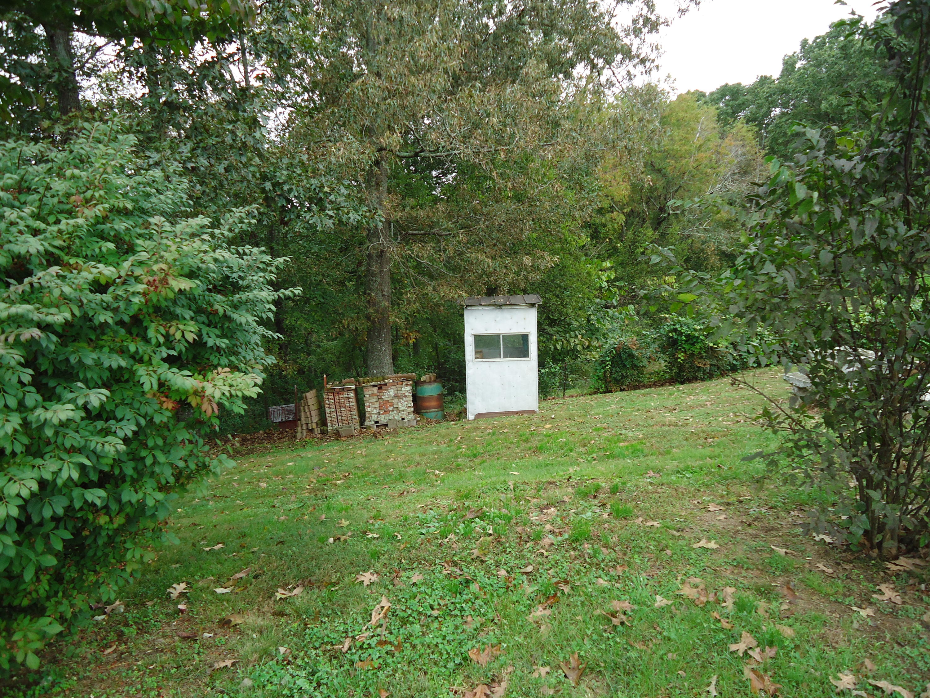 4015 Corinth Church Road Loudon, TN 37774 - Photo 31 of 40 DSC06615