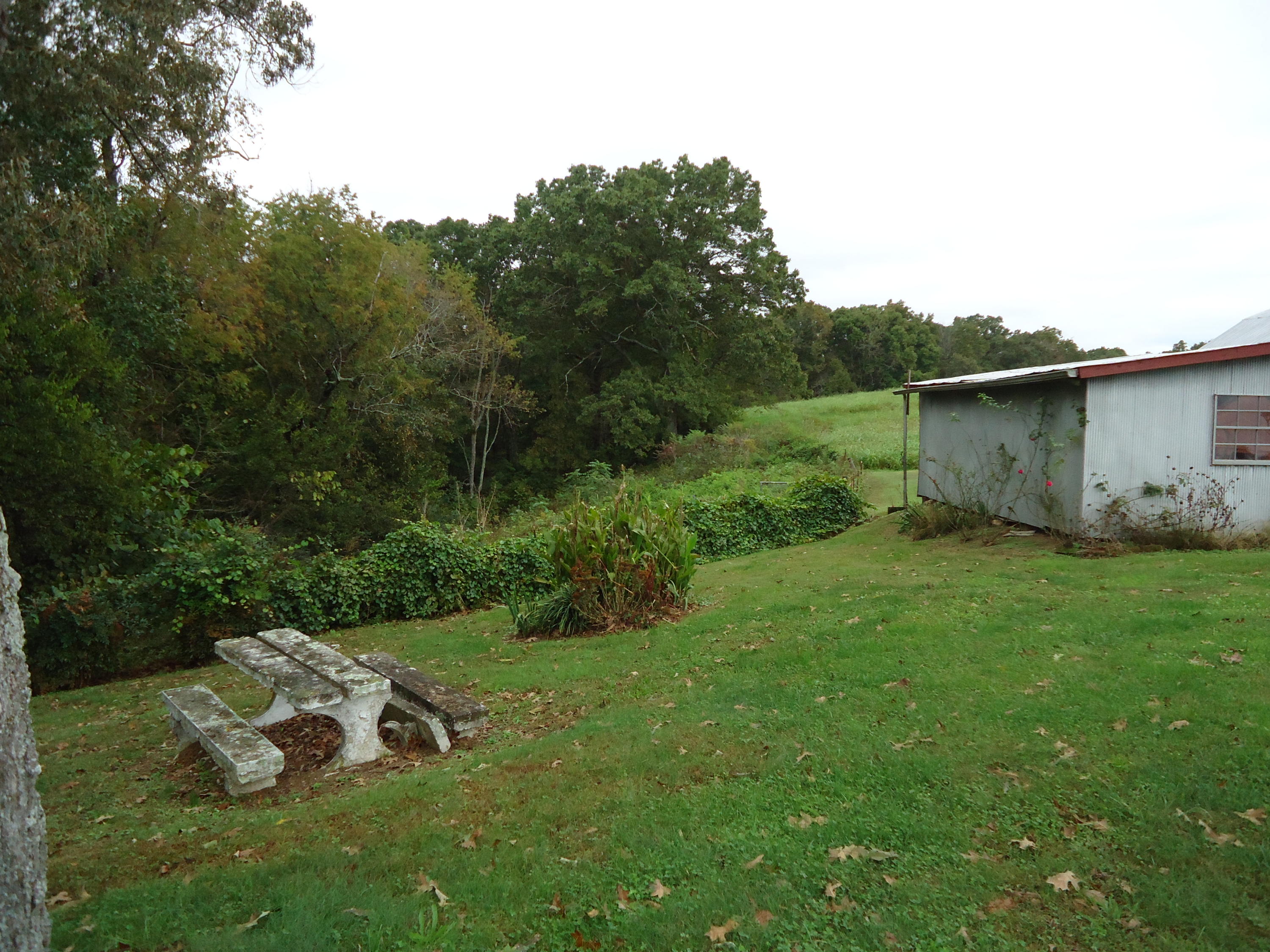 4015 Corinth Church Road Loudon, TN 37774 - Photo 32 of 40 DSC06616