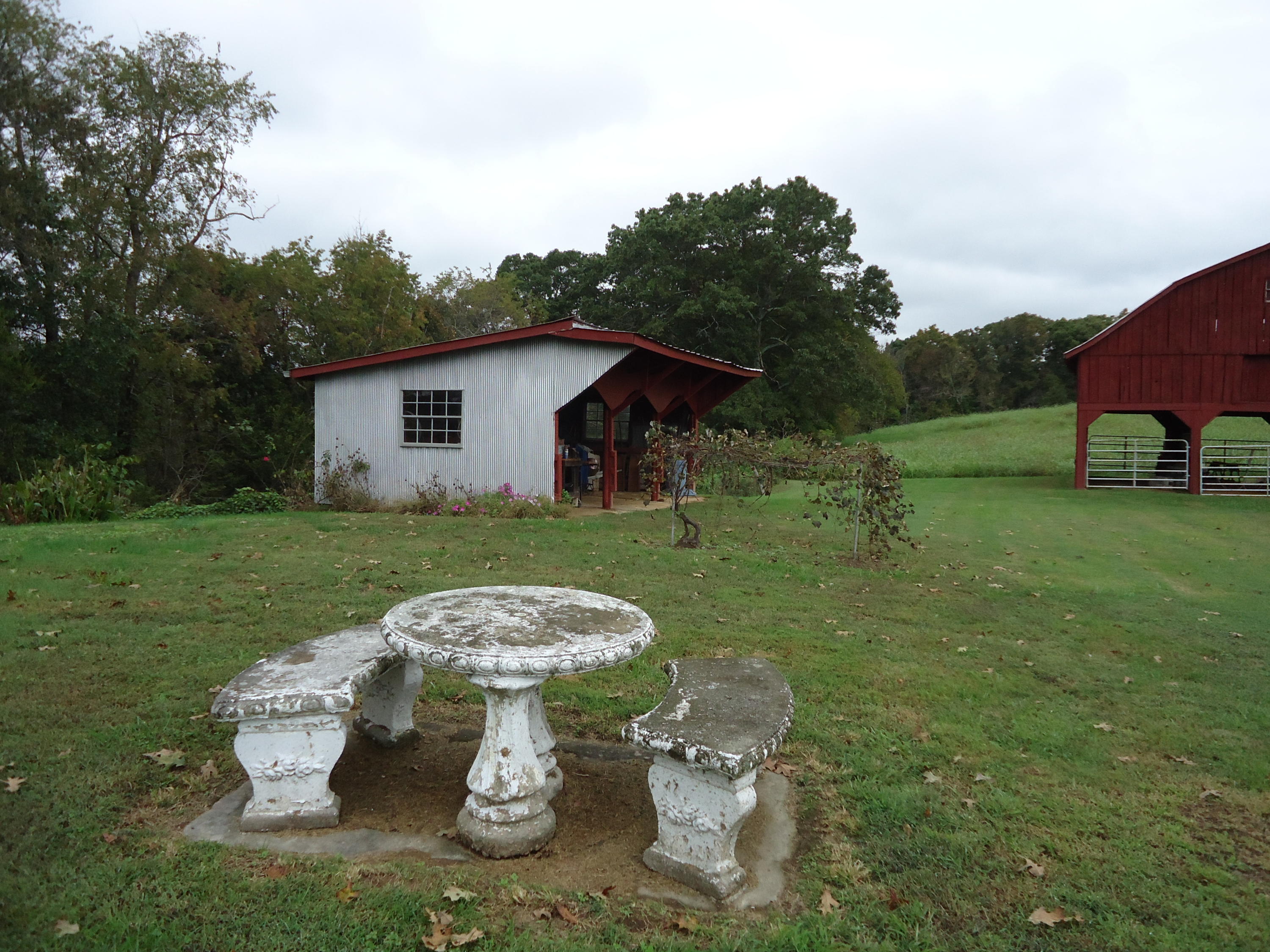 4015 Corinth Church Road Loudon, TN 37774 - Photo 34 of 40 DSC06618