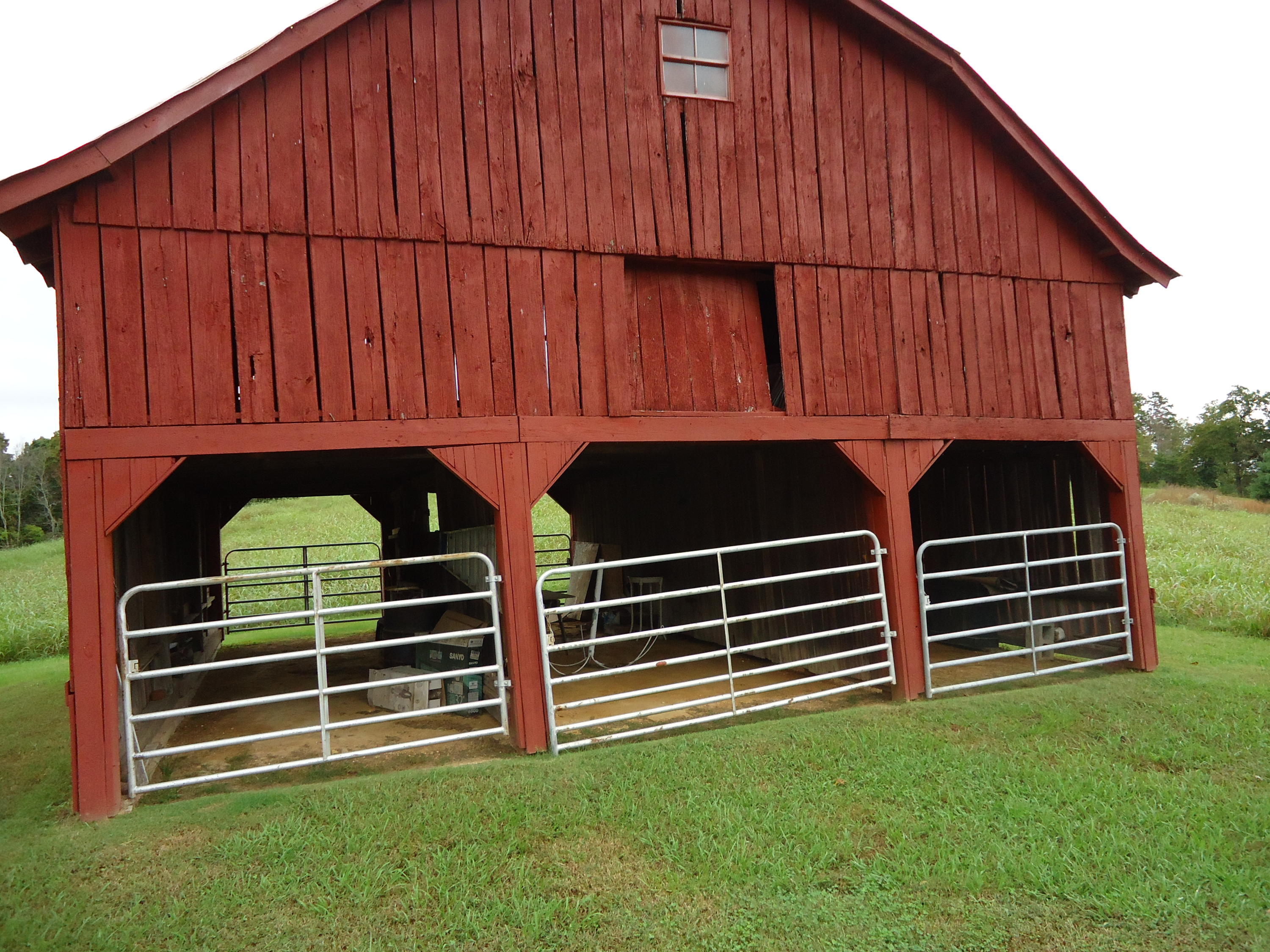 4015 Corinth Church Road Loudon, TN 37774 - Photo 40 of 40 DSC06622