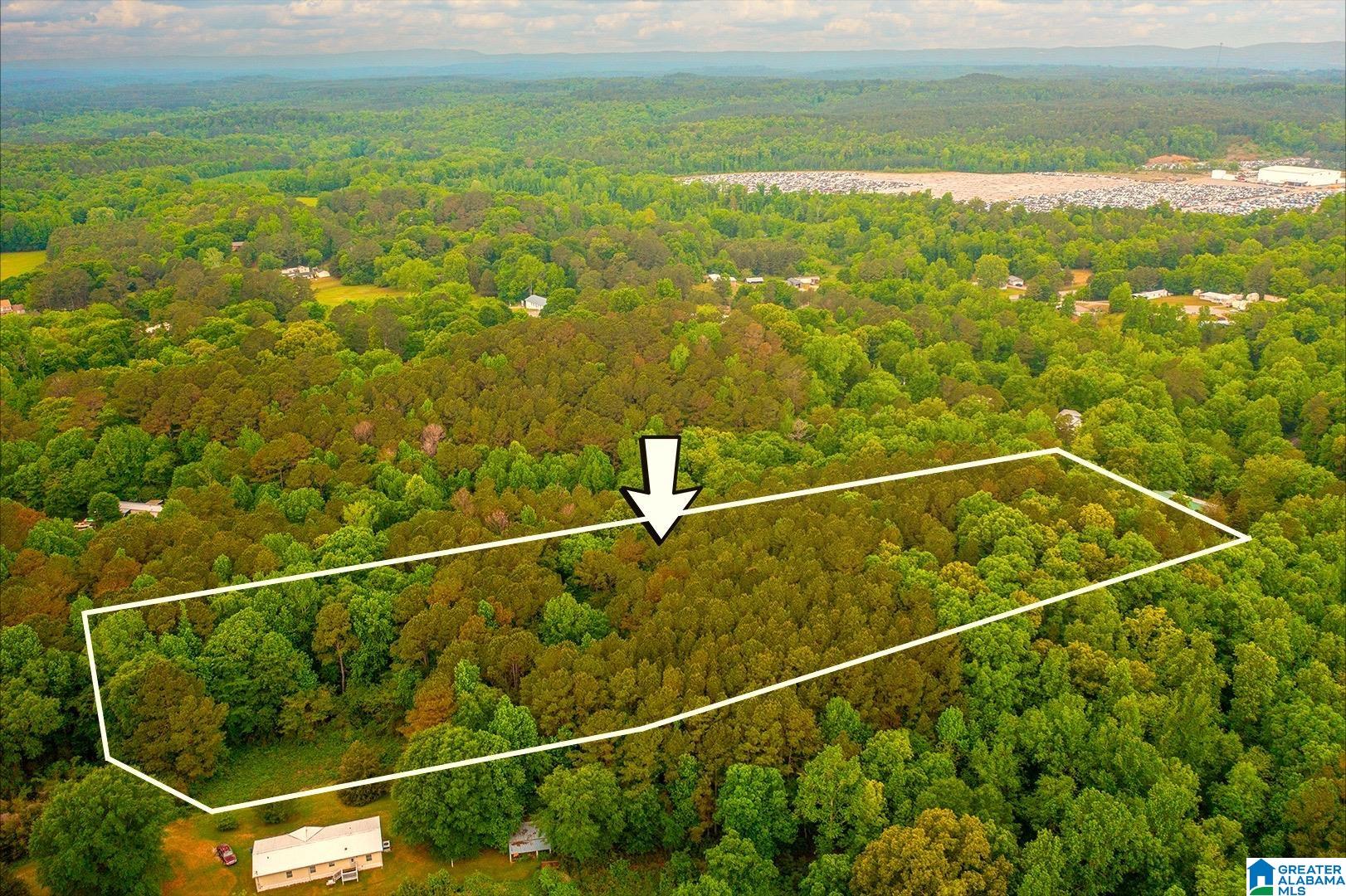 0 Spunky Hollow Road, Unit 1 Trafford, AL 35172 - Photo 11 of 14 Gallery Image 11