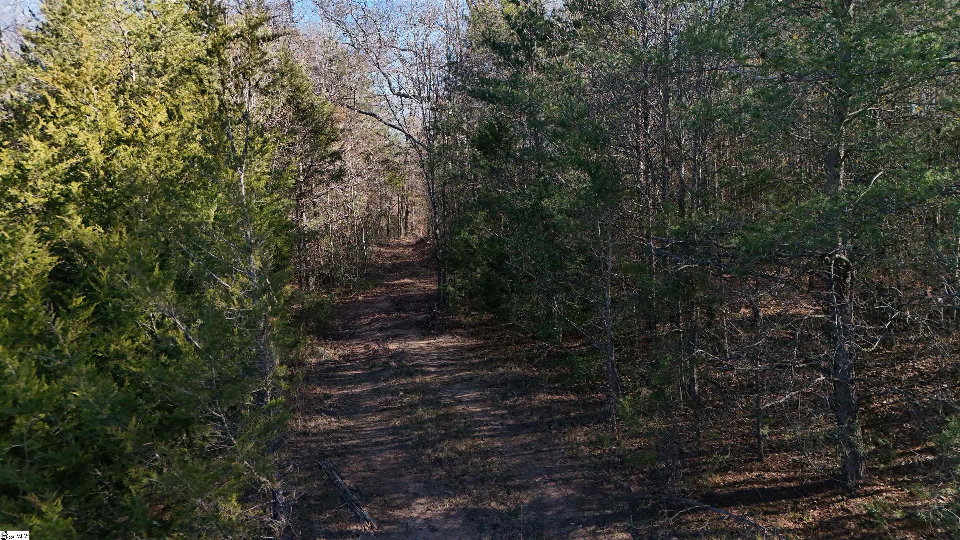 0 Amberway Road Easley, SC 29640 - Photo 2 of 12