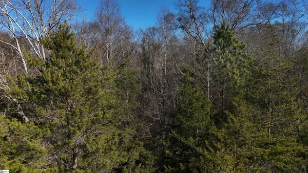 $399,000 | 0 Amberway Road, Easley, SC 29640