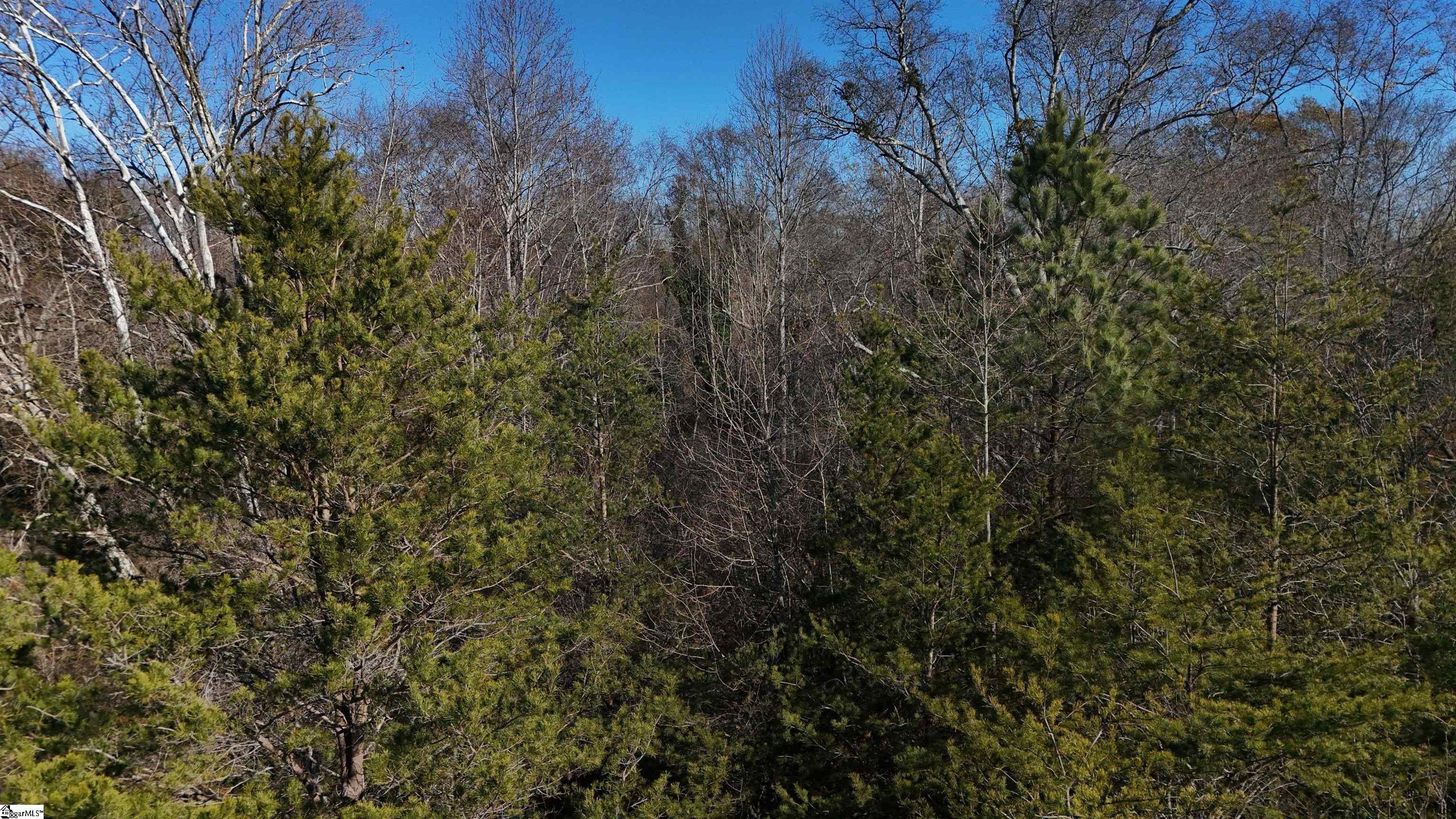 0 Amberway Road Easley, SC 29640 - Photo 9 of 12