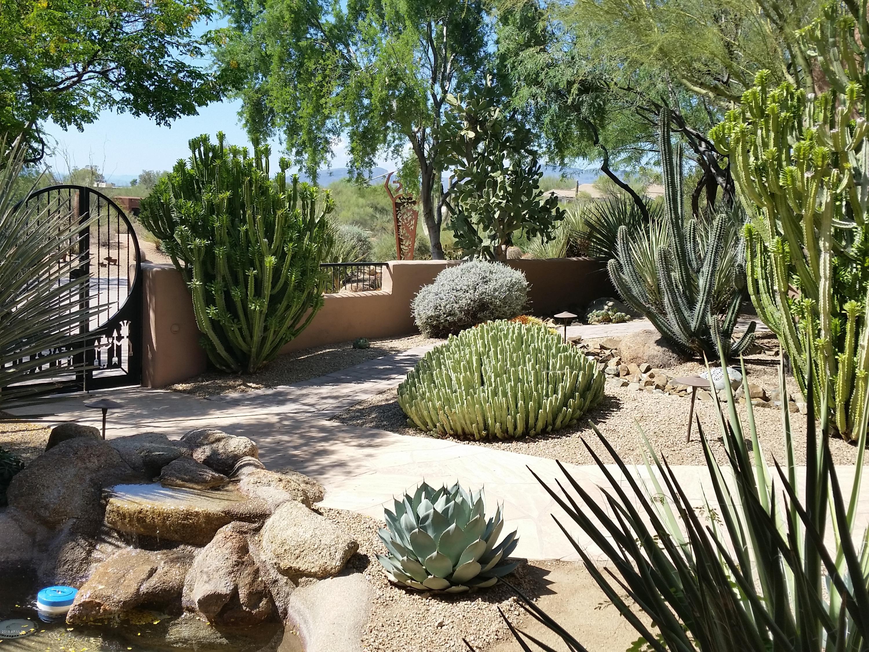 9527 Romping Road Carefree, AZ 85377 - Photo 1 of 40 Specimen Cacti
