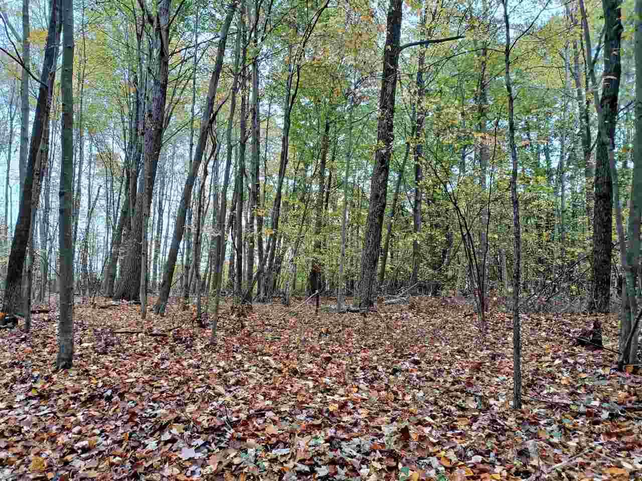 Marion Road Brant, MI 48614 - Photo 7 of 14