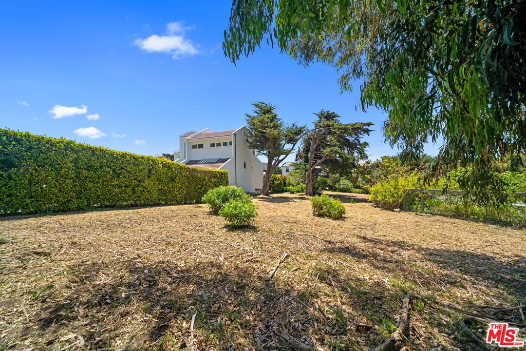 31826 Broad Beach Road Malibu, CA 90265 - Photo 8 of 19 a view of a yard with plants and trees