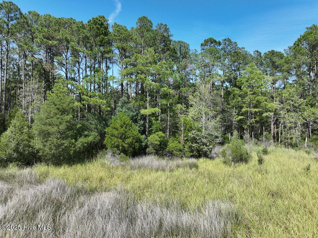 175 North Berne Landing Road New Bern, NC 28560 - Photo 9 of 12 8