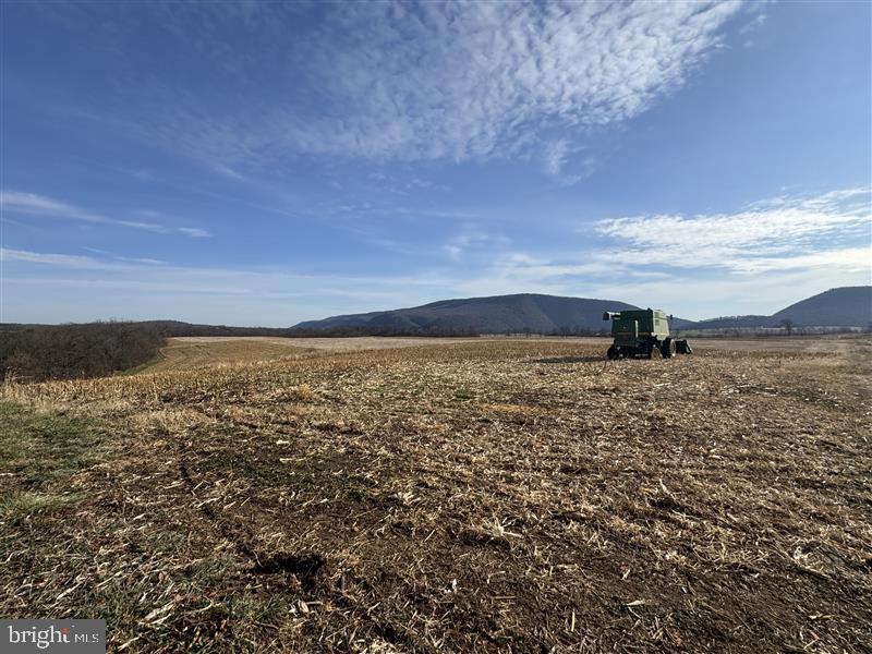 3581 Union Furnace Road Tyrone, PA 16686 - Photo 2 of 64