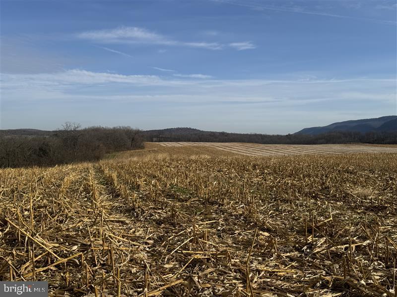 3581 Union Furnace Road Tyrone, PA 16686 - Photo 23 of 64