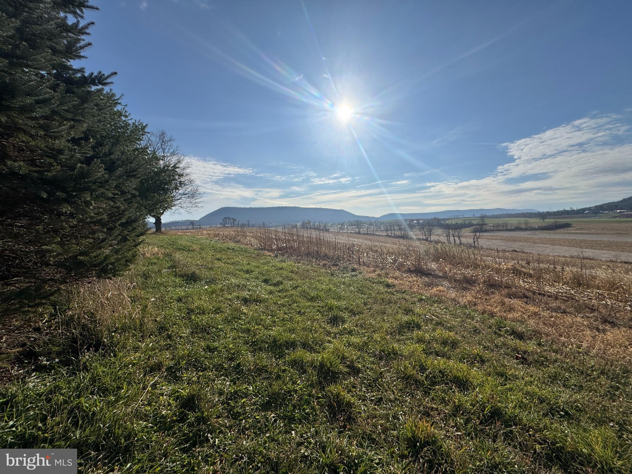 3581 Union Furnace Road Tyrone, PA 16686 - Photo 29 of 64