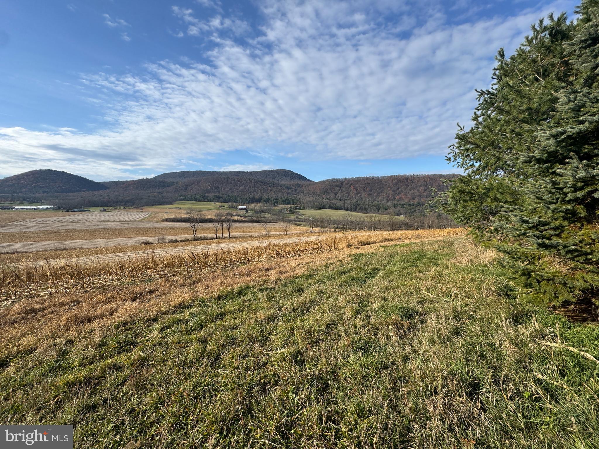 3581 Union Furnace Road Tyrone, PA 16686 - Photo 3 of 64