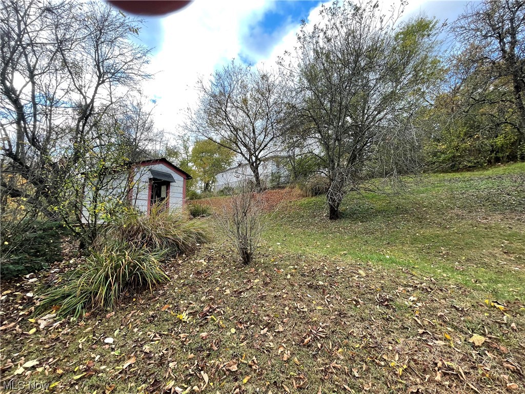 262 Old Golf Course Road Spencer, WV 25276 - Photo 22 of 22 Lower yard