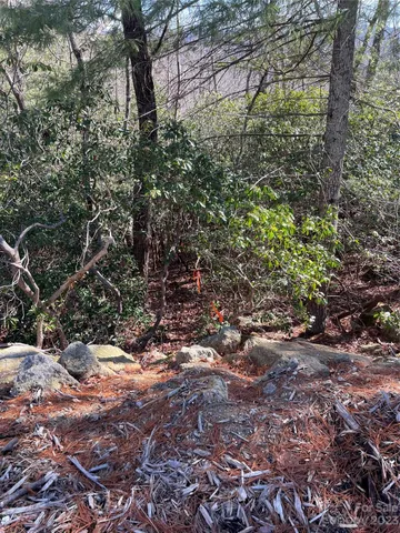 $165,000 | 0 Willow Run Lane, Unit 15, Zirconia, NC 28790