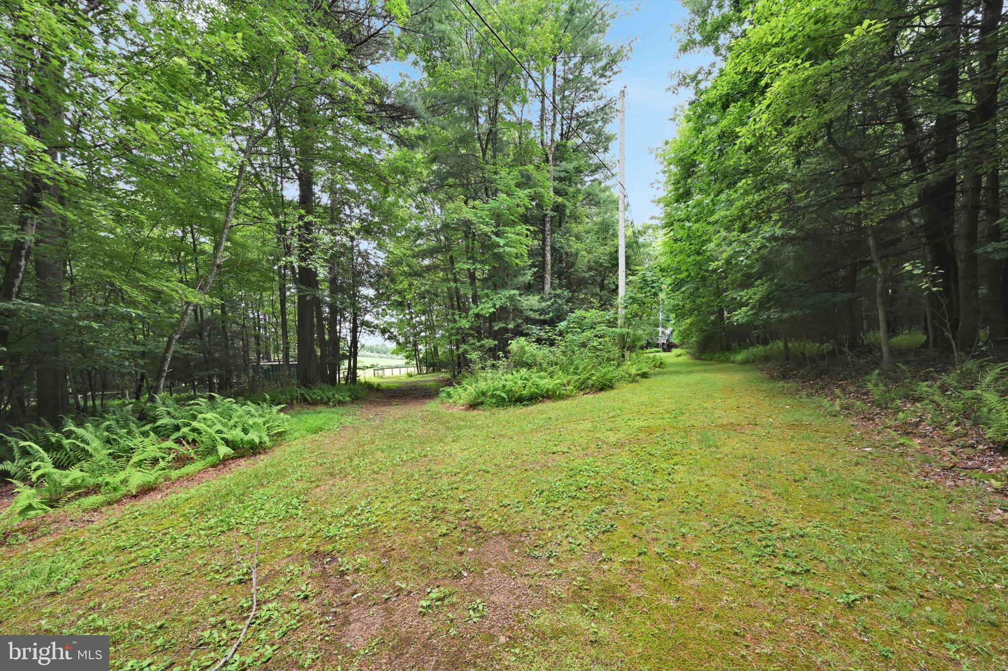 376 H T Y Road Kunkletown, PA 18058 - Photo 79 of 93