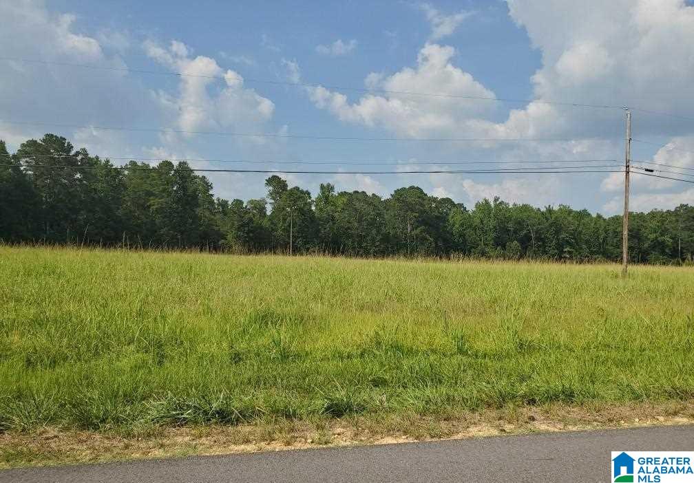 460 Fox Valley Farms Road, Unit 3 Alabaster, AL 35114 - Photo 10 of 13