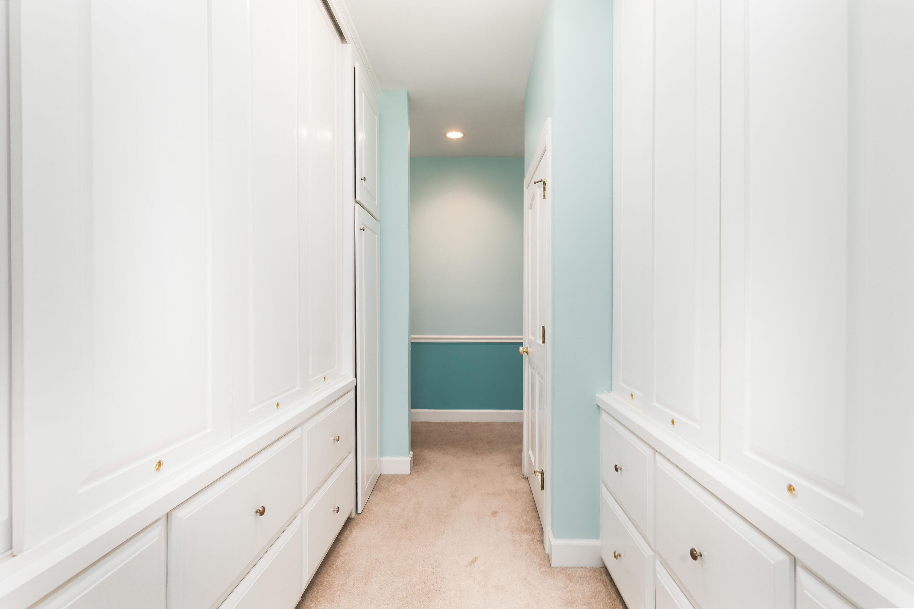 39 Ripplemoor Lane Charleston, SC 29414 - Photo 26 of 61 Walk-In Closets