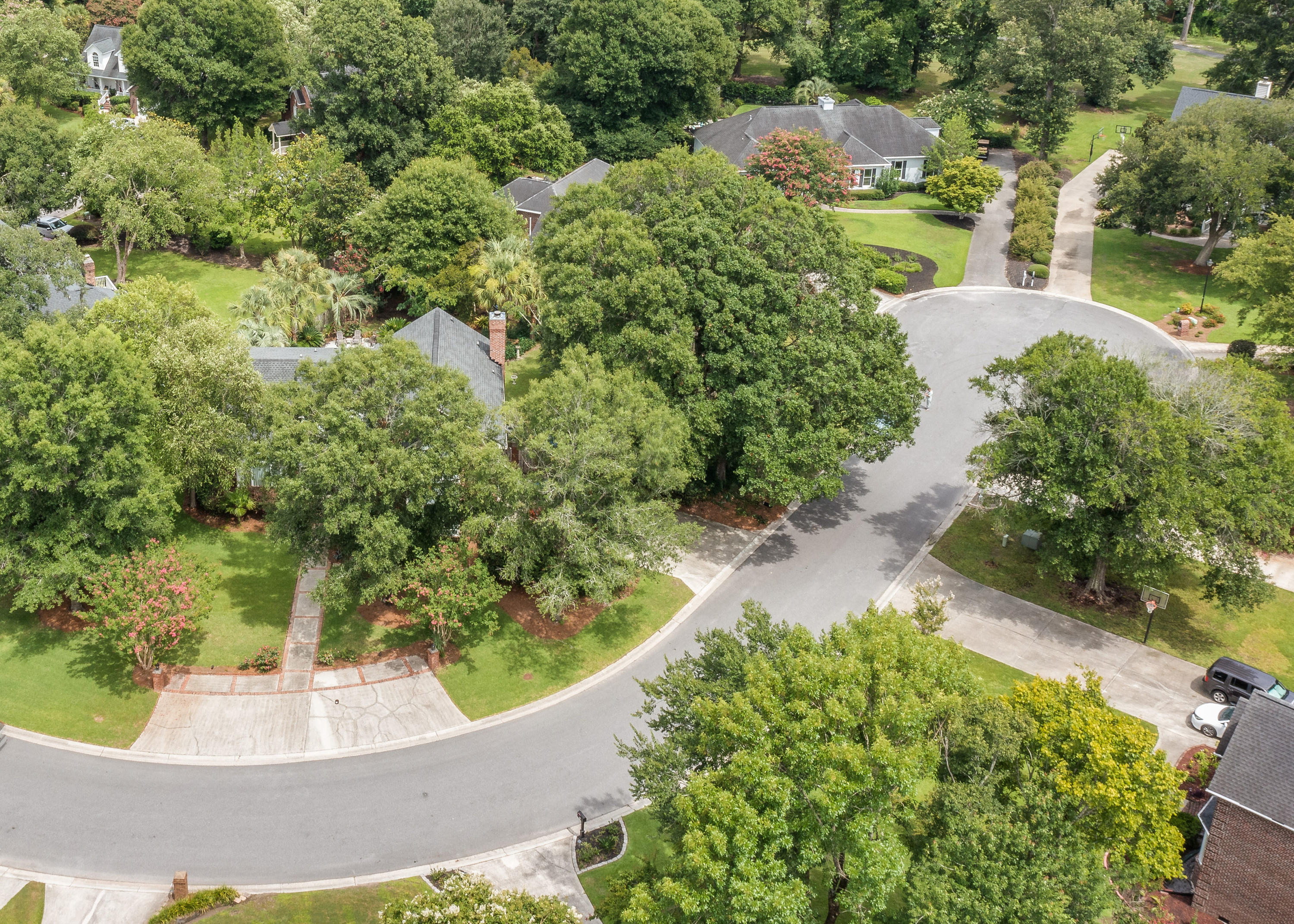 39 Ripplemoor Lane Charleston, SC 29414 - Photo 50 of 61 Quiet Cul-de-Sac