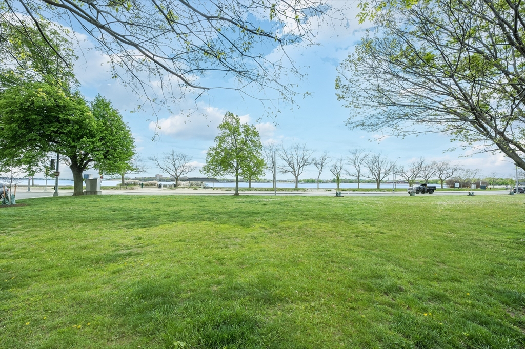 1520 Columbia Road, Unit 2 Boston, MA 02127 - Photo 16 of 16 a view of outdoor space with green field and trees